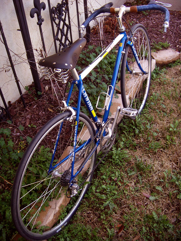 Schwinn Tempo - Seatstay View