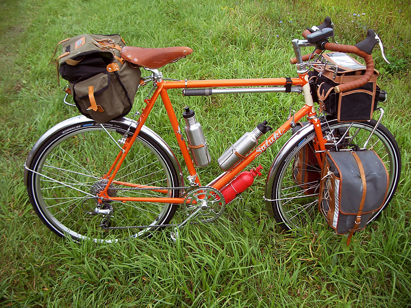 Rivendell Saluki - Loaded for Travel