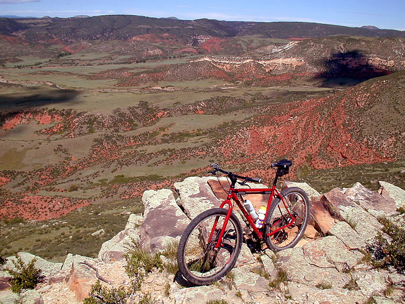 Surly Karate Monkey - Panorama View