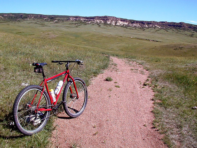 Surly Karate Monkey - rear angled view