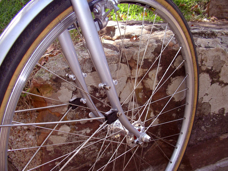 Rivendell Atlantis - front fork detail