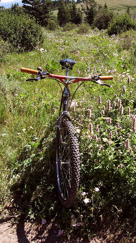 Bridgestone MB-5 - front end view