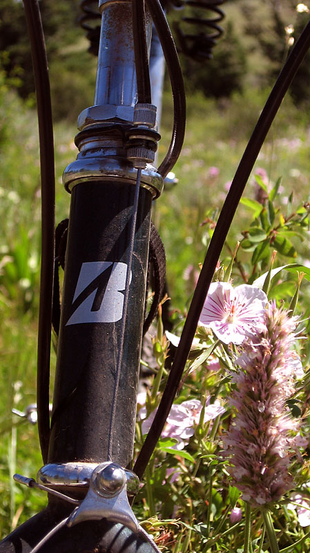 Bridgestone MB-5 - front end detail