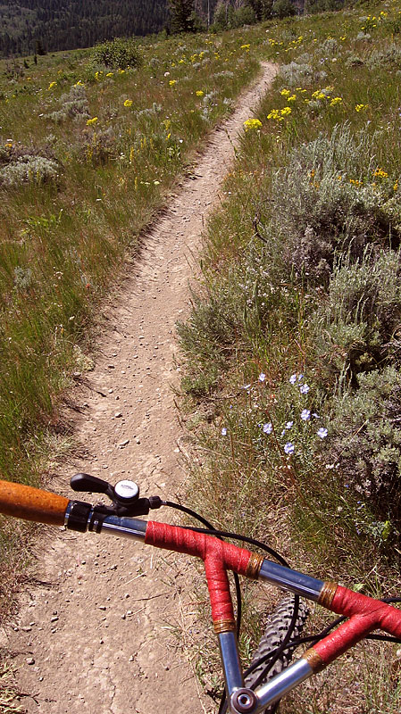 Bridgestone MB-5 - On the Singletrack