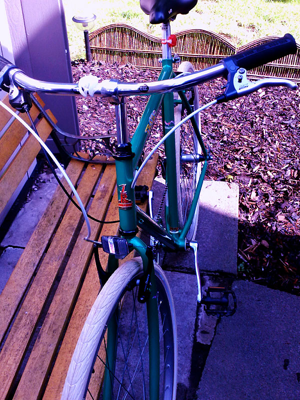 Raleigh Pioneer Trail 2000 - front end detail