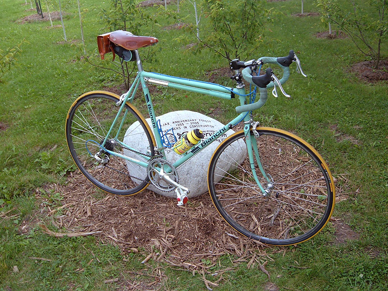 Bianchi Vittoria Rocks!