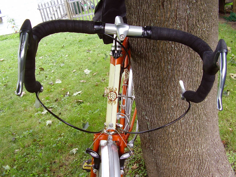 Rivendell All Rounder - headtube detail