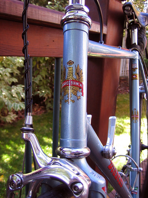 Bianchi Trofeo - headtube detail