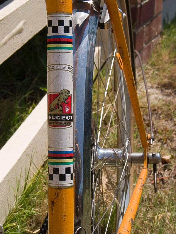 Peugeot PE-8 650B Conversion - seat tube detail