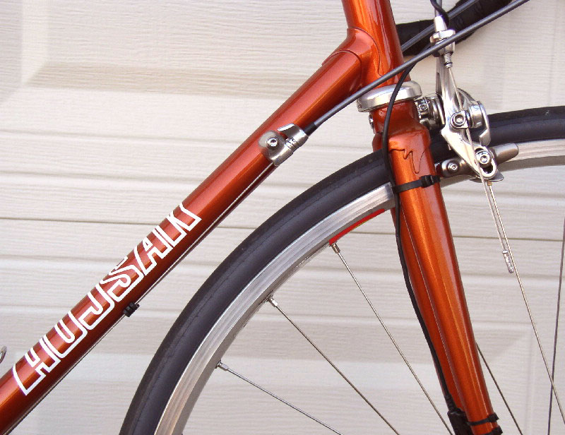 Hujsak Road Frame - downtube & fork