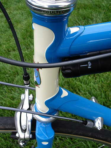 Rivendell Rambouillet - headtube detail