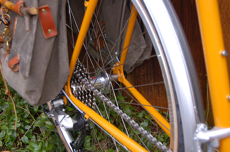 Rivendell Saluki - rear hub detail