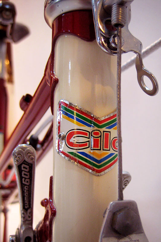 Cilo Mixte - head badge detail