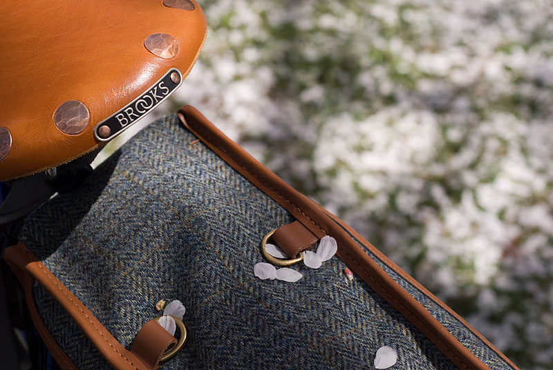 Miyata 1000 - Brooks saddle, Nigel Smythe bag and sakura blossoms