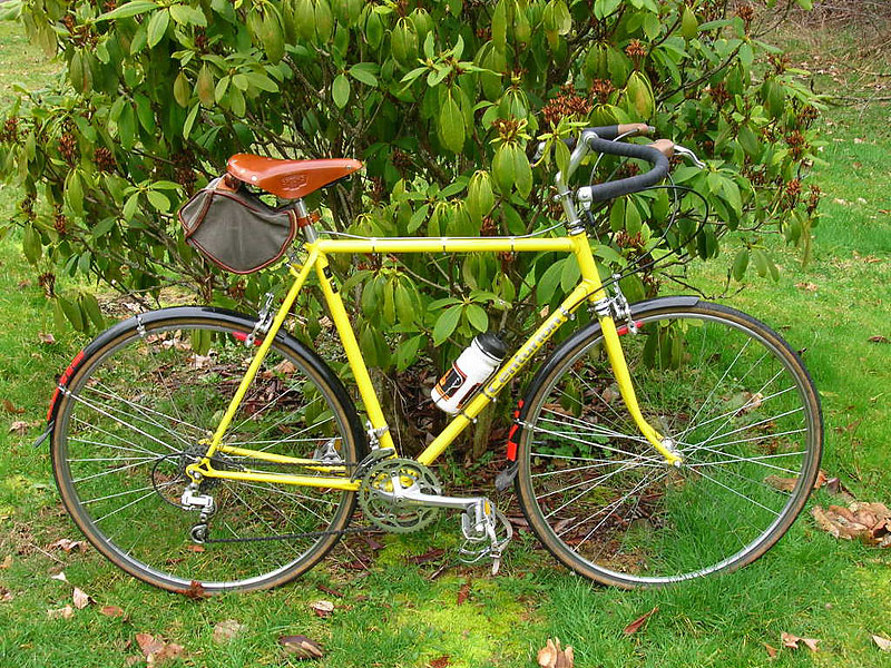 Centurion Super Lemans - side view