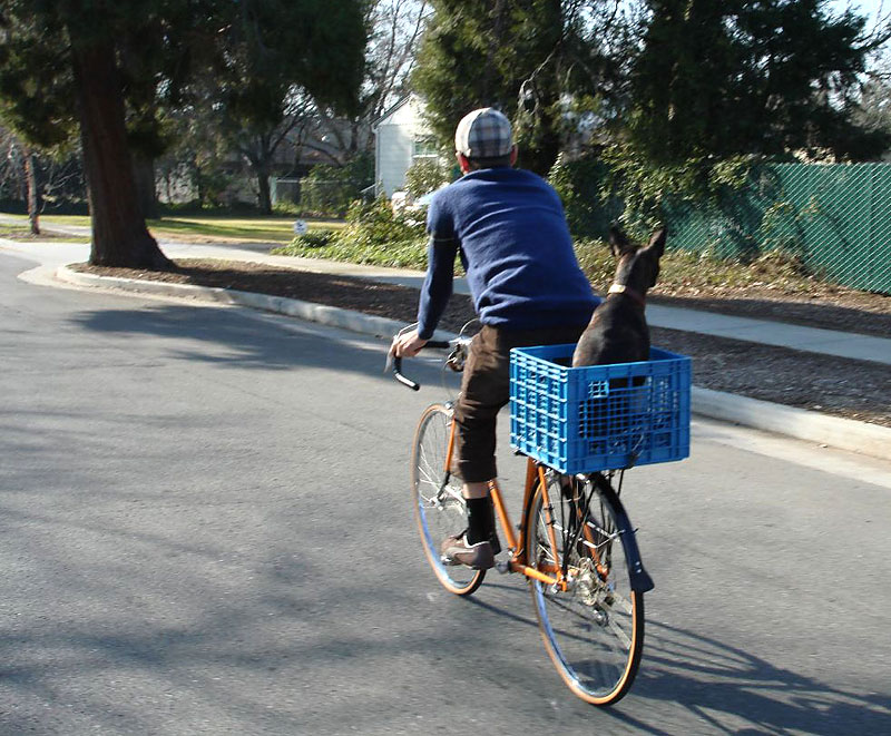 Schwinn Le TourIII - Otis and his chauffeur