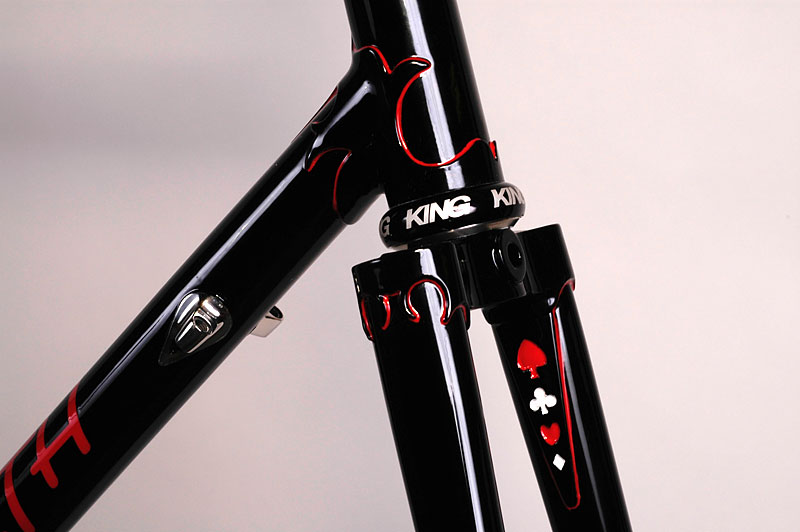 True North Custom - fork  detail