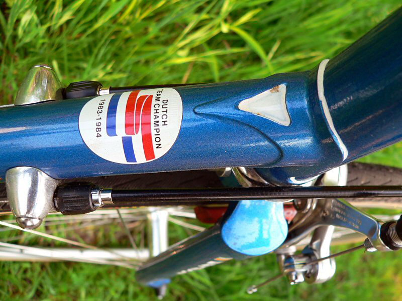 Batavus Competition - downtube lug detail