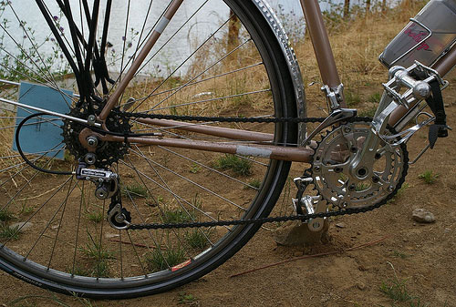 Blanc de Noirs - drivetrain detail