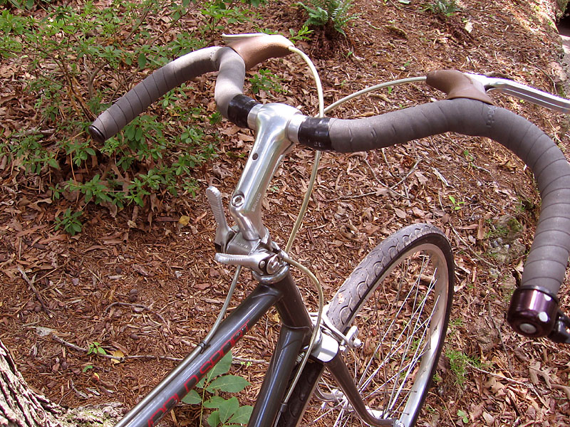 Schwinn World Sport - front end detail