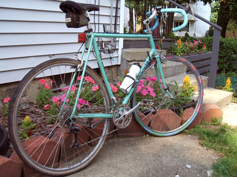 Bianchi Campione D'Italia - rear quarter view