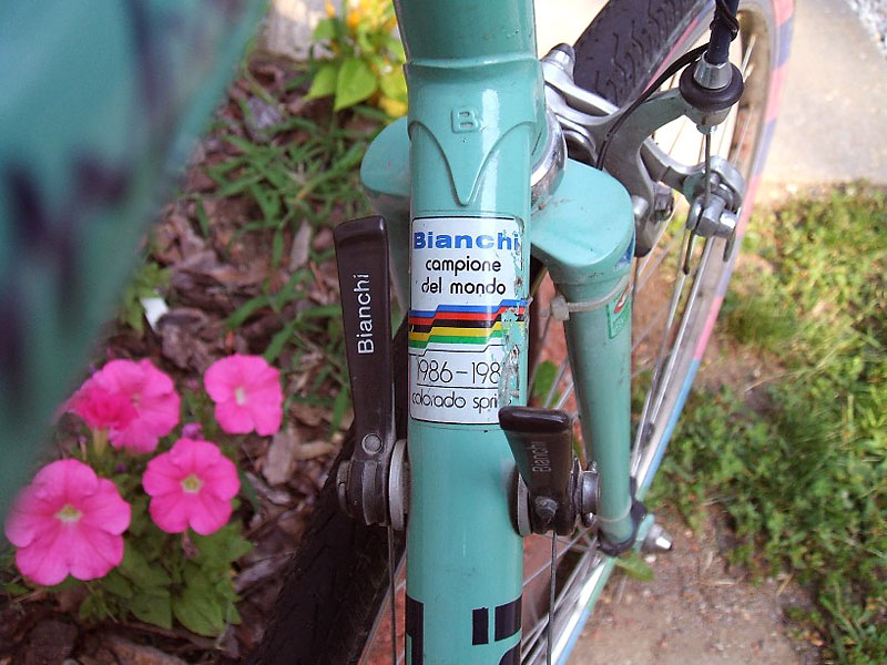 Bianchi Campione D'Italia - shift lever detail