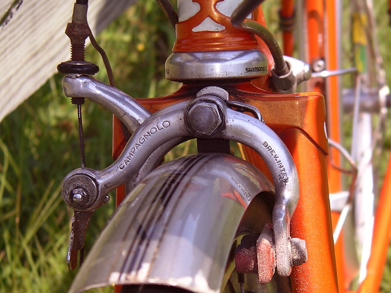 Rivendell Rambouillet - front brake detail