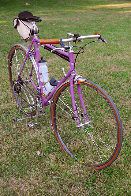 Schwinn Paramount - angled view