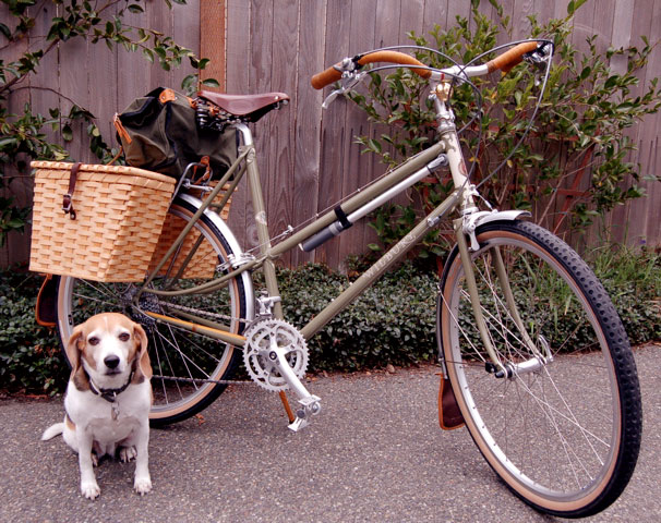 Rivendell Glorius-Wilbury - side view with beagle