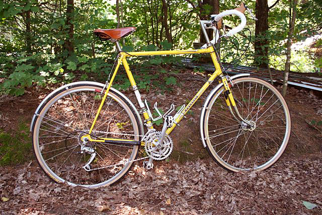 Peugeot - side view in the woods