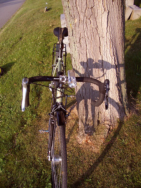 Bianchi Castro Valley - head on view