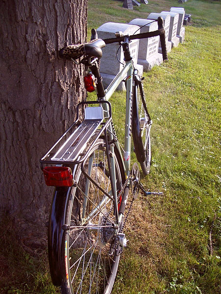 Bianchi Castro Valley - tail-end view