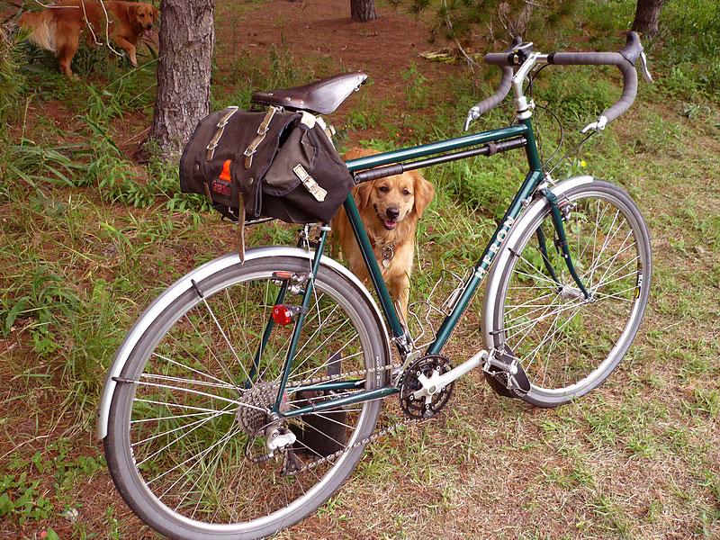 Heron Wayfarer and Happy Dog