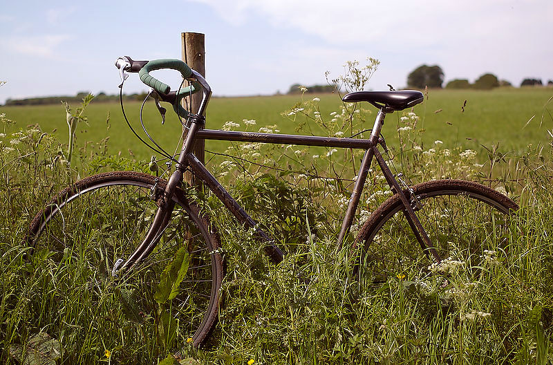 Raleigh Pioneer Trail - in the wilds