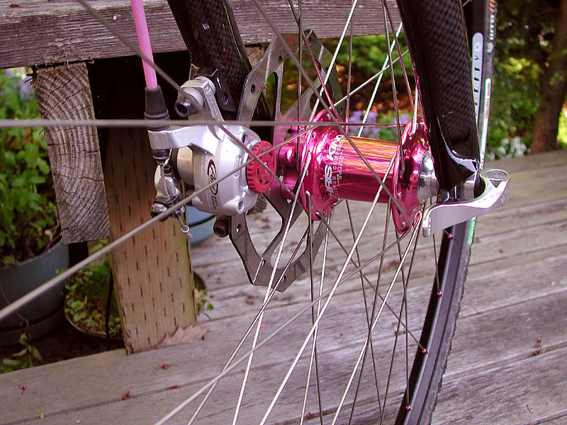 Bianchi Roger - Front Hub Detail