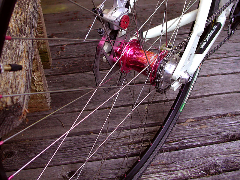 Bianchi Roger - rear hub detail