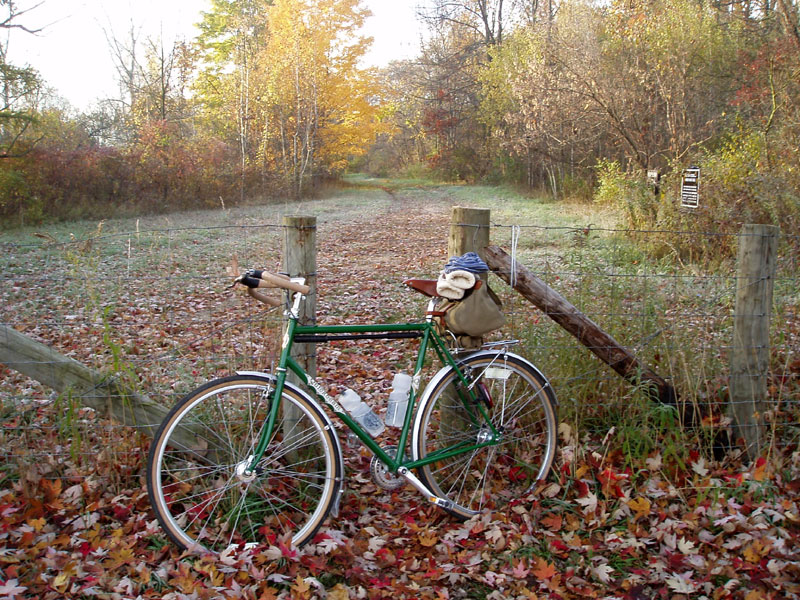 Quickbeam - on the trail, fall