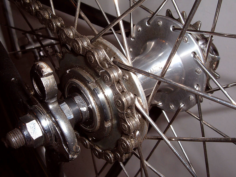 Nishiki Ultimate - Rear hub detail