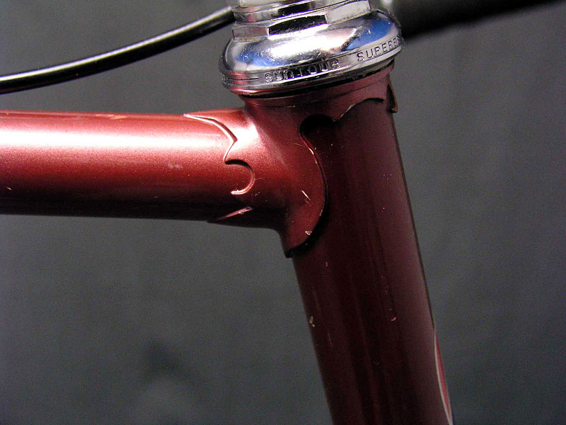 Fuji Professional - head lug detail