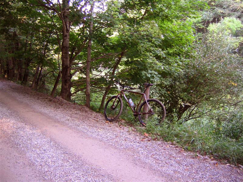 Surly Karate Monkey - hangin' on the trailside