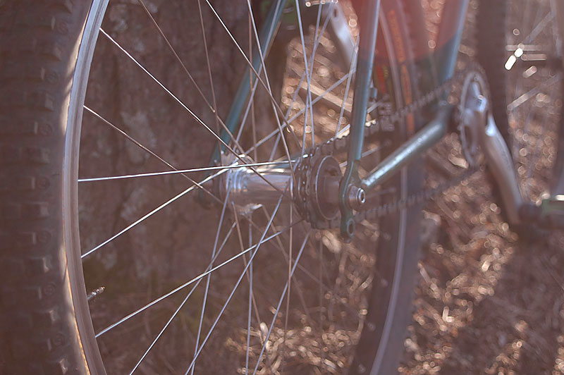 Smoothchance - rear hub detail