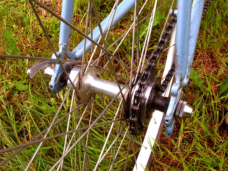 Raleigh Technium - rear hub detail