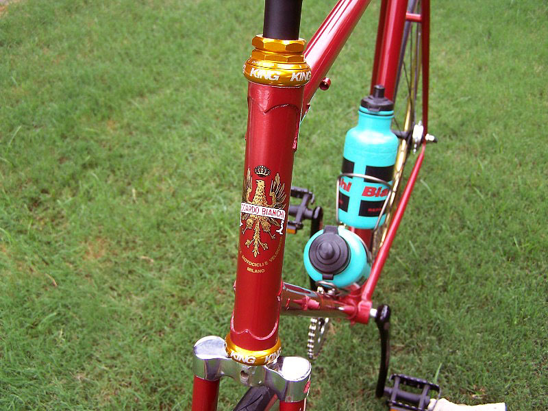 Bianchi - headtube detail