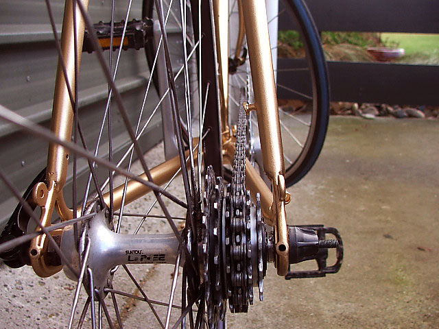 Raleigh - rear hub detail