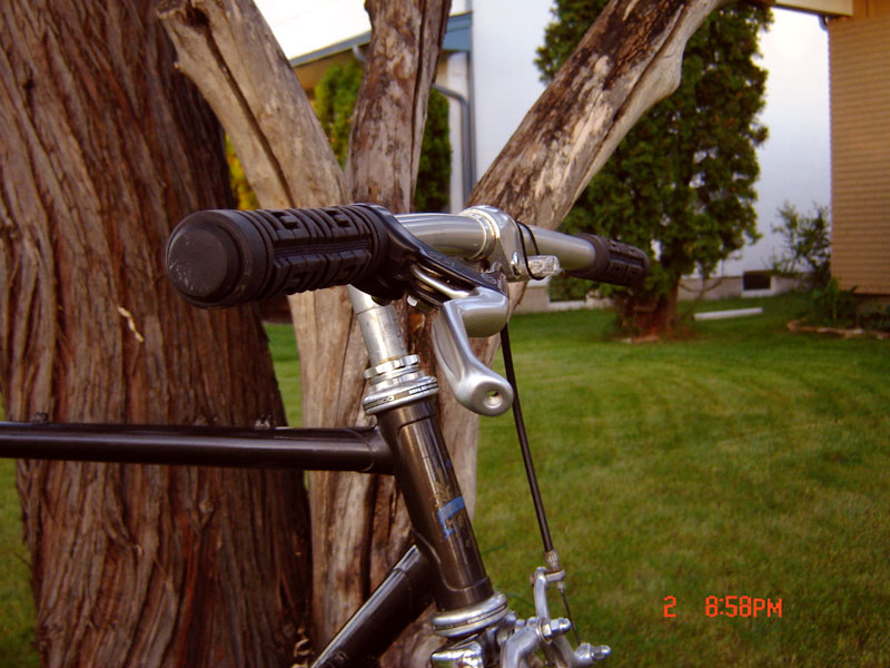 Bianchi - headtube detail