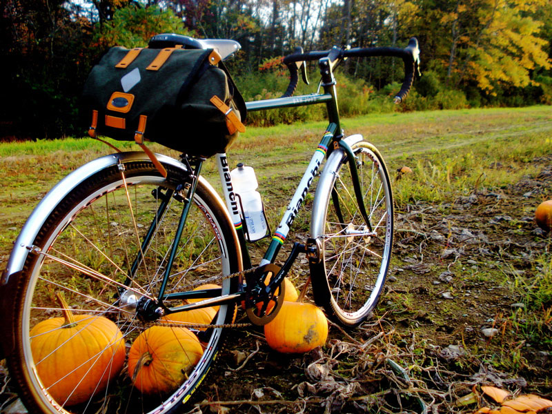 Bianchi San Jose - driveside at the patch