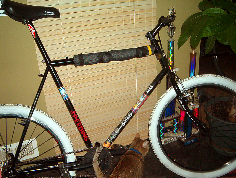 Diamondback - side view