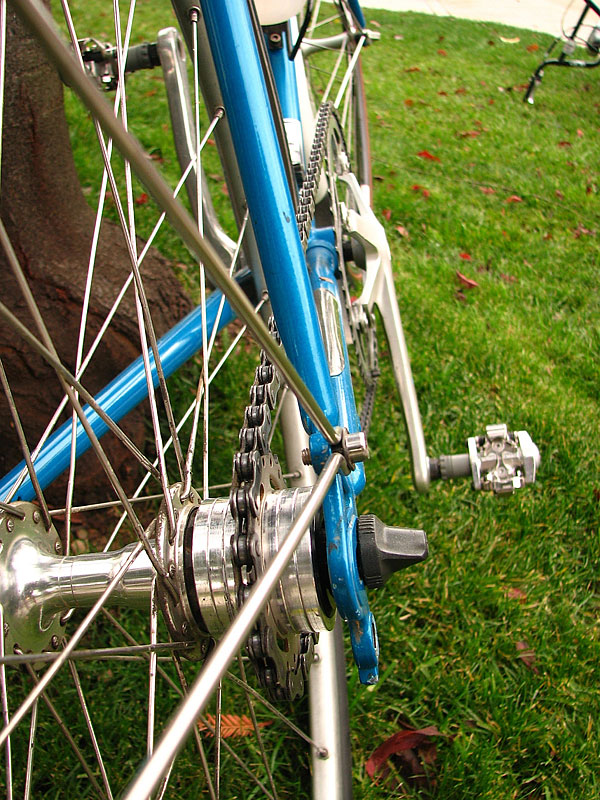 Schwinn World Sport - rear hub detail