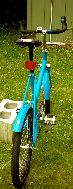 Healing Cruiser Fixie - rear view