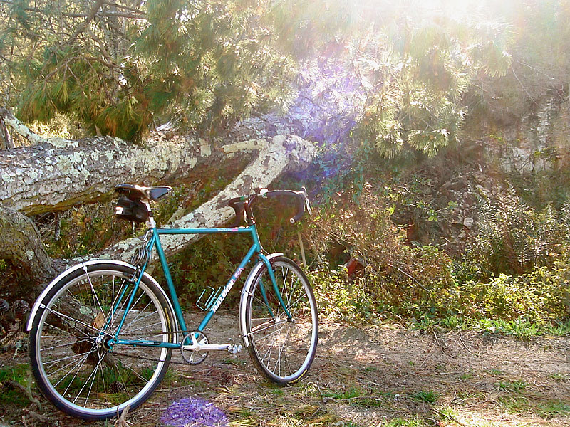 Raleigh Talon CX - in the woods